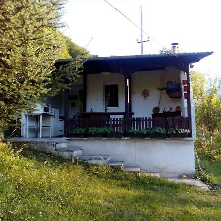 Bungalows Zdravets Berkovitsa Dış mekan fotoğraf