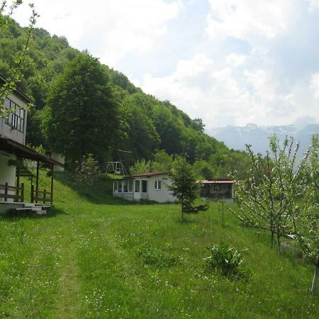 Bungalows Zdravets Berkovitsa Dış mekan fotoğraf