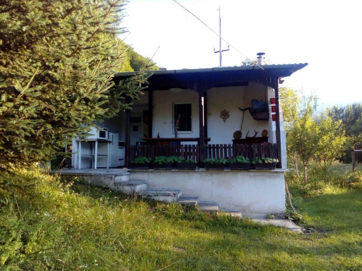 Bungalows Zdravets Berkovitsa Dış mekan fotoğraf