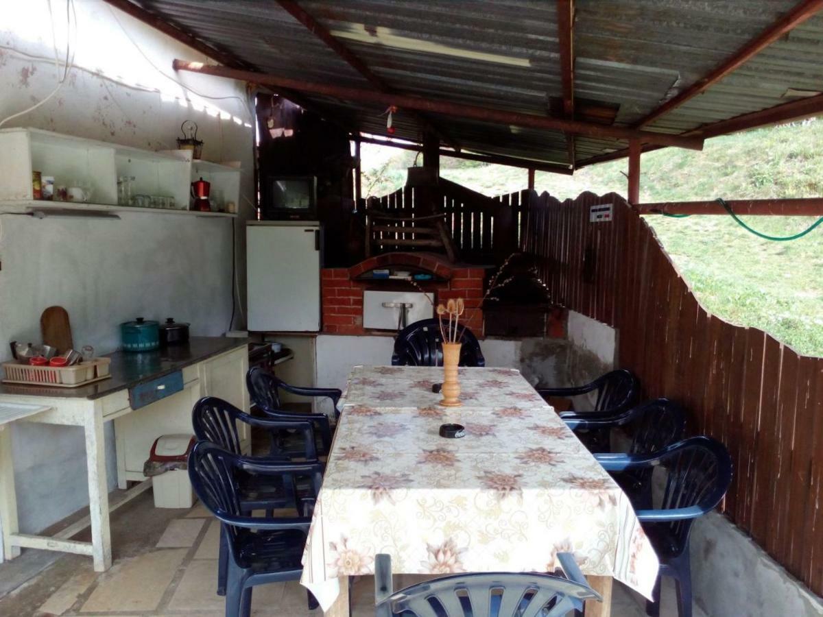 Bungalows Zdravets Berkovitsa Dış mekan fotoğraf