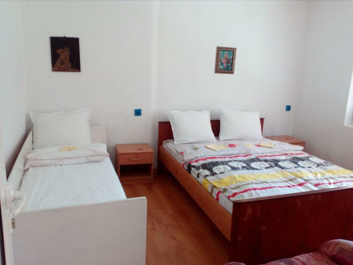 Bungalows Zdravets Berkovitsa Dış mekan fotoğraf
