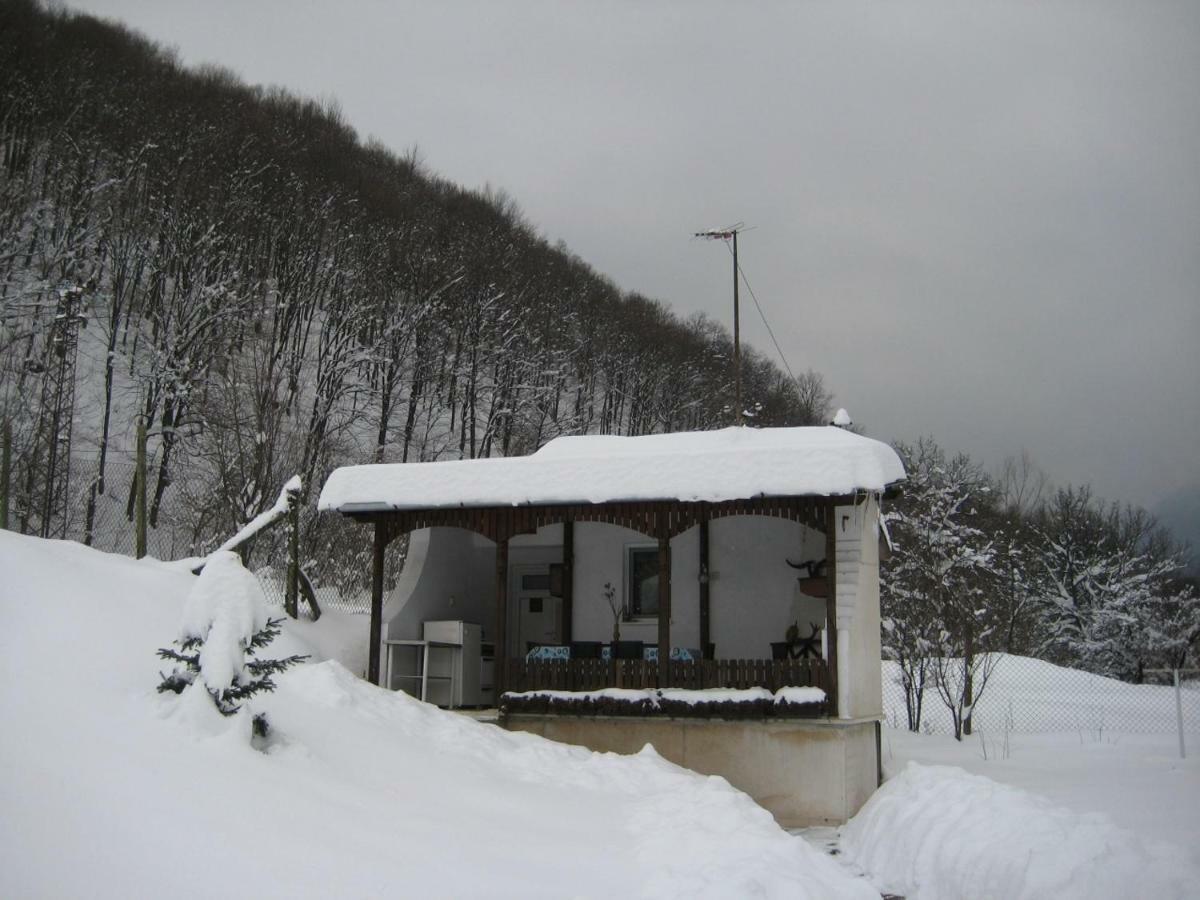 Bungalows Zdravets Berkovitsa Dış mekan fotoğraf