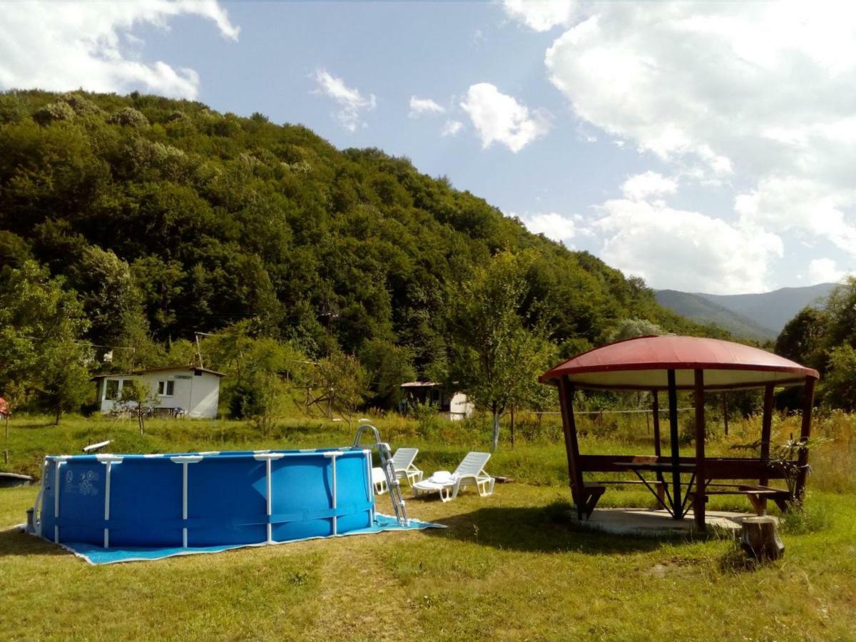Bungalows Zdravets Berkovitsa Dış mekan fotoğraf