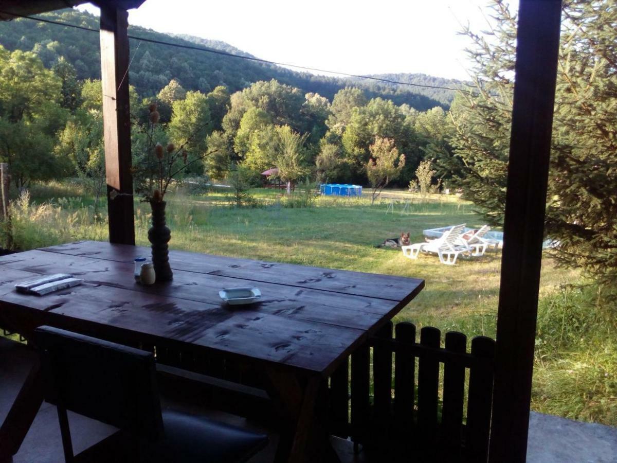 Bungalows Zdravets Berkovitsa Dış mekan fotoğraf