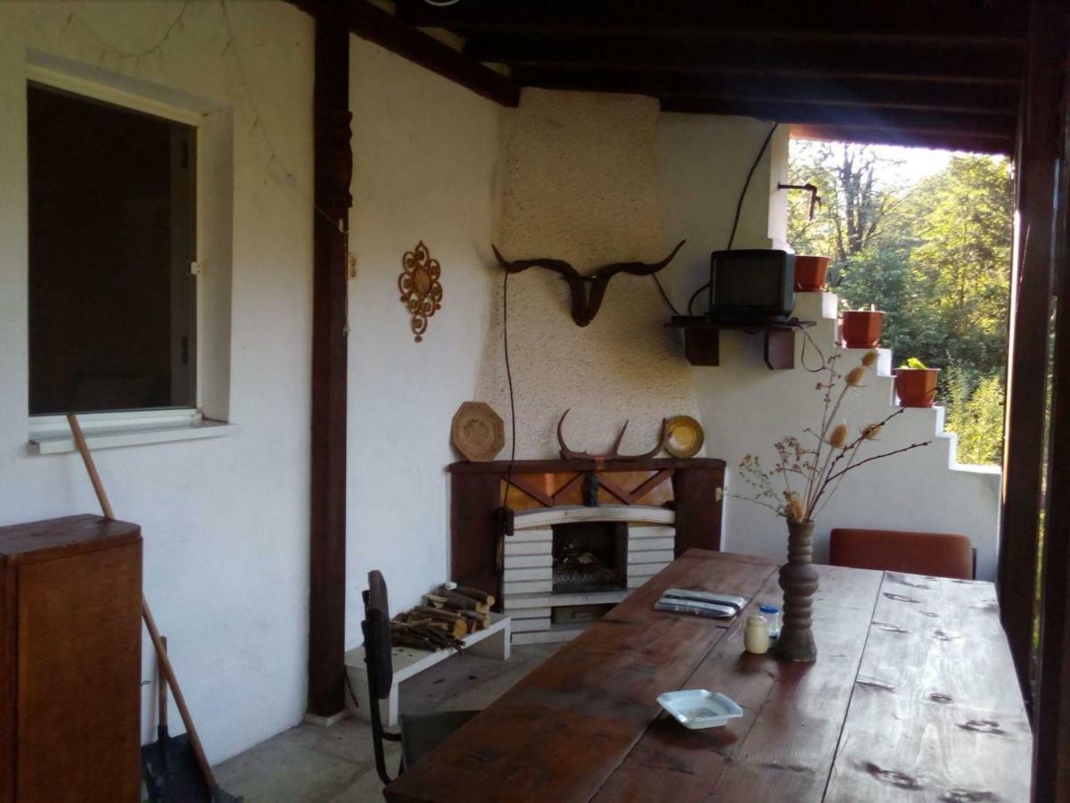 Bungalows Zdravets Berkovitsa Dış mekan fotoğraf