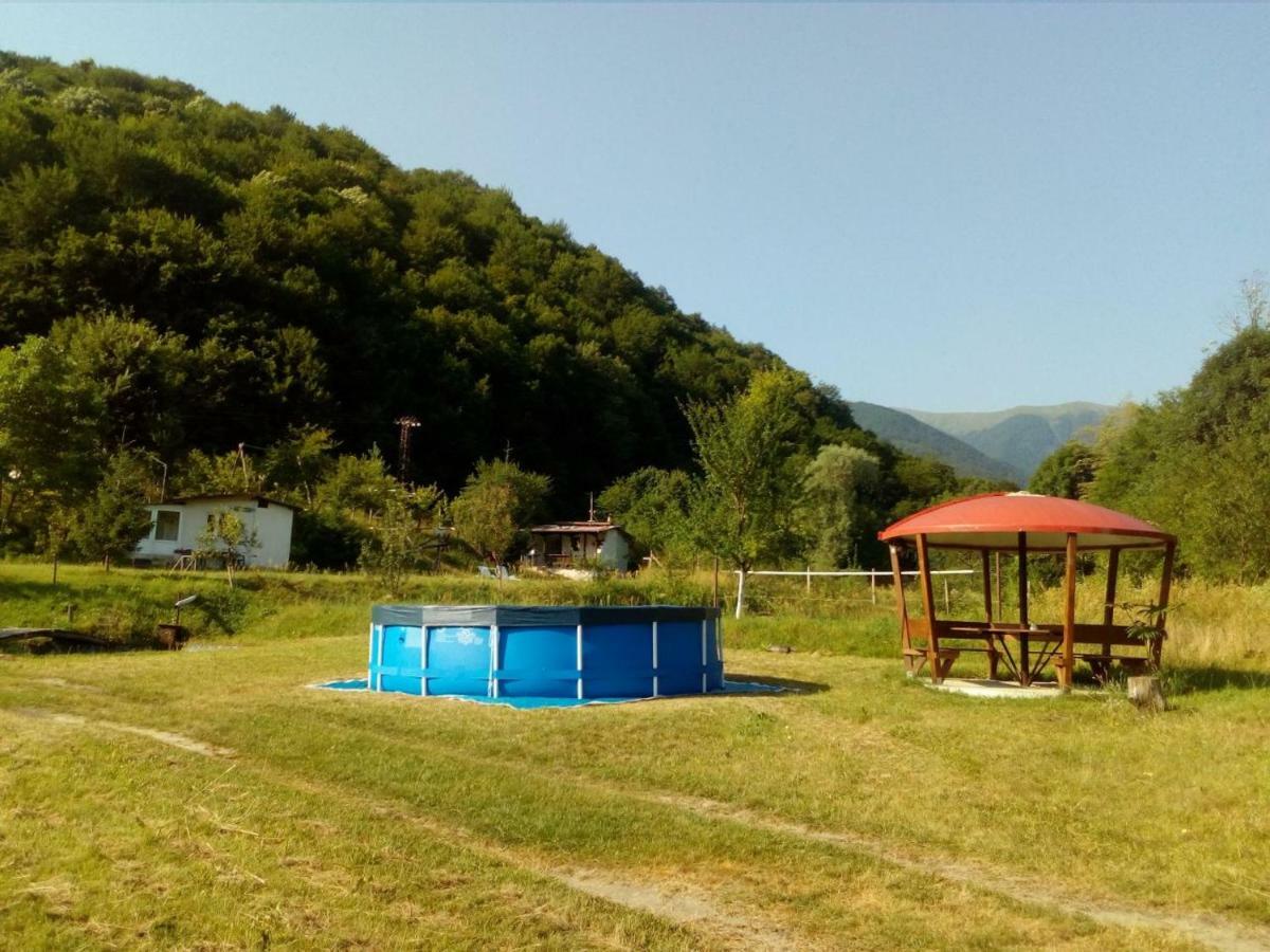 Bungalows Zdravets Berkovitsa Dış mekan fotoğraf