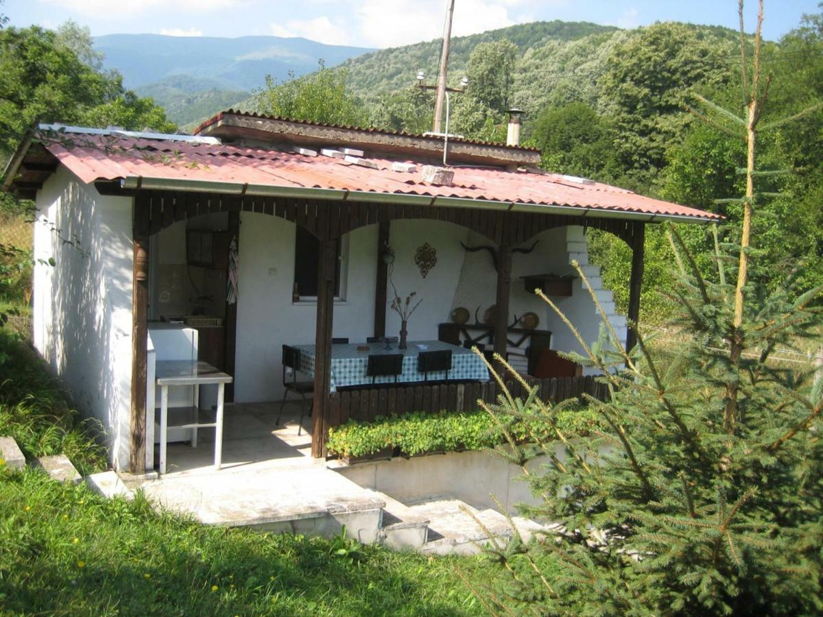 Bungalows Zdravets Berkovitsa Dış mekan fotoğraf