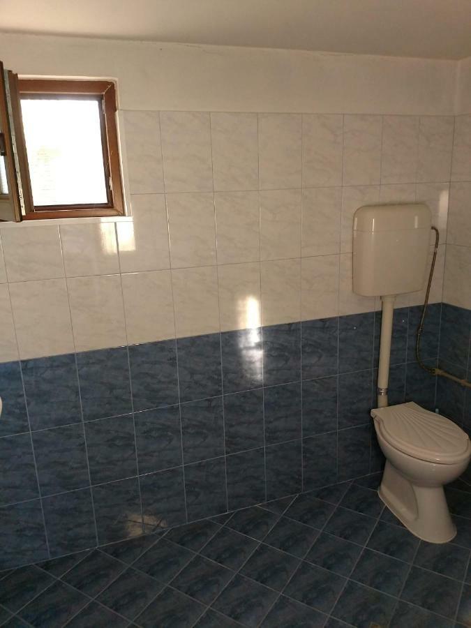Bungalows Zdravets Berkovitsa Dış mekan fotoğraf