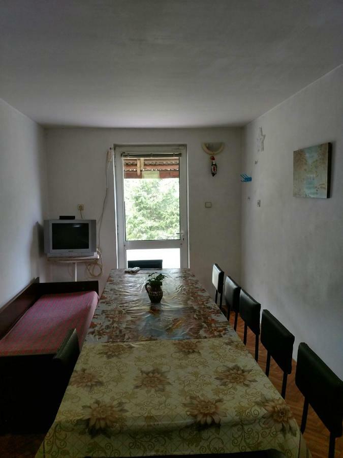 Bungalows Zdravets Berkovitsa Dış mekan fotoğraf