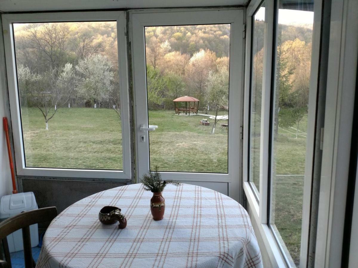Bungalows Zdravets Berkovitsa Dış mekan fotoğraf