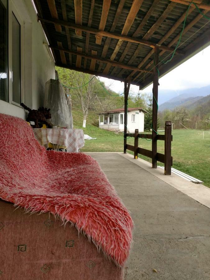 Bungalows Zdravets Berkovitsa Dış mekan fotoğraf